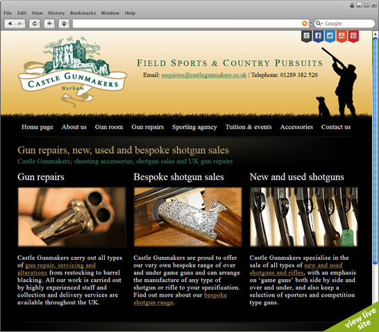 view live site (new page)