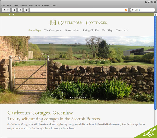 view live site (new page)