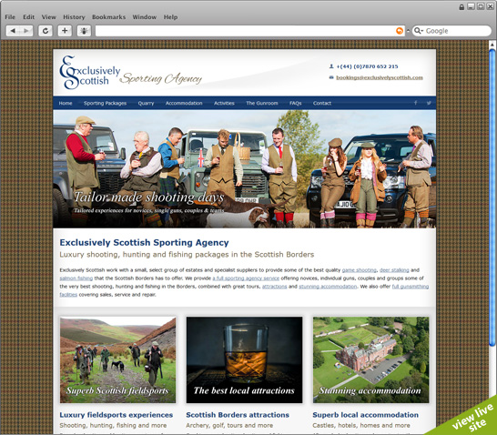 view live site (new page)