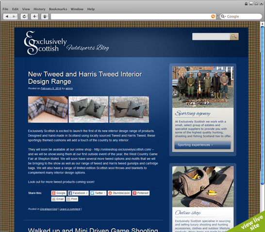 view live site (new page)