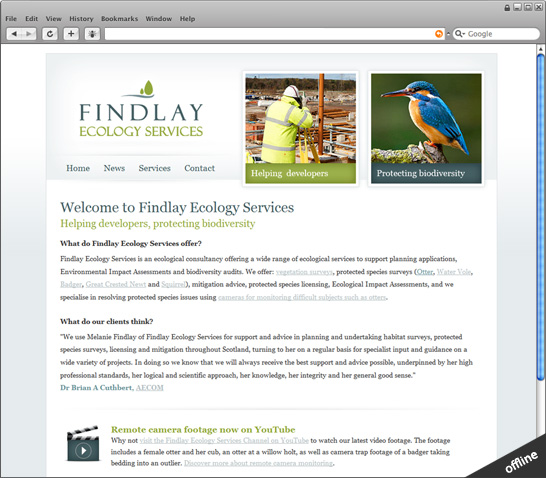 view live site (new page)