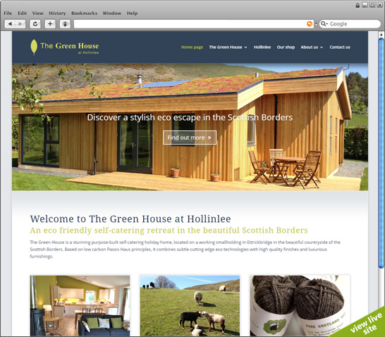 view live site (new page)