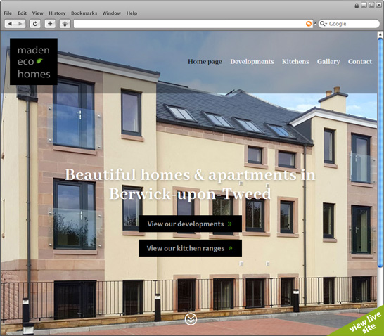 view live site (new page)