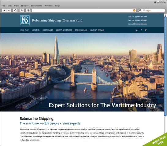 view live site (new page)
