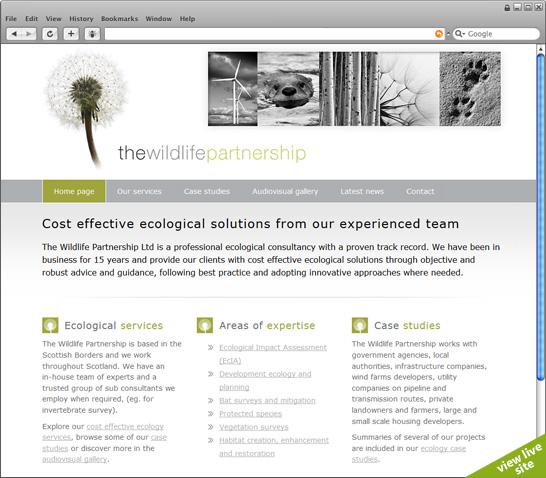 view live website (new page)